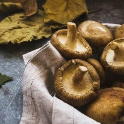 Délice Aux Cèpes - 100g 4 Délice Aux Cèpes - 100g – Image 2