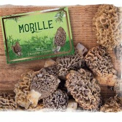 Délice Aux Morilles - 100g 4 Délice Aux Morilles - 100g – Image 2