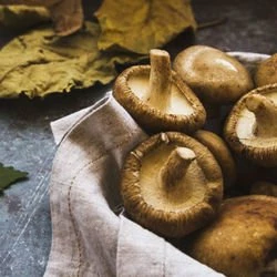 Duo Cèpes & Bolets Au Parmesan - 90g 4 Duo Cèpes & Bolets Au Parmesan - 90g – Image 2