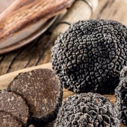 Kit Pasta Saveur Truffe Blanche Et Comté AOP 4 Kit Pasta Saveur Truffe Blanche Et Comté AOP – Image 2